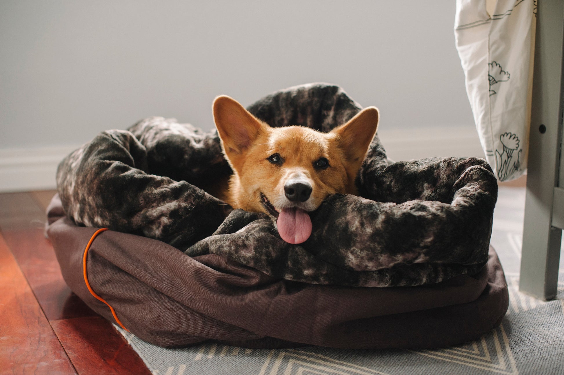 PLAY Snuggle Bed Truffle Brown for Dogs and Cats