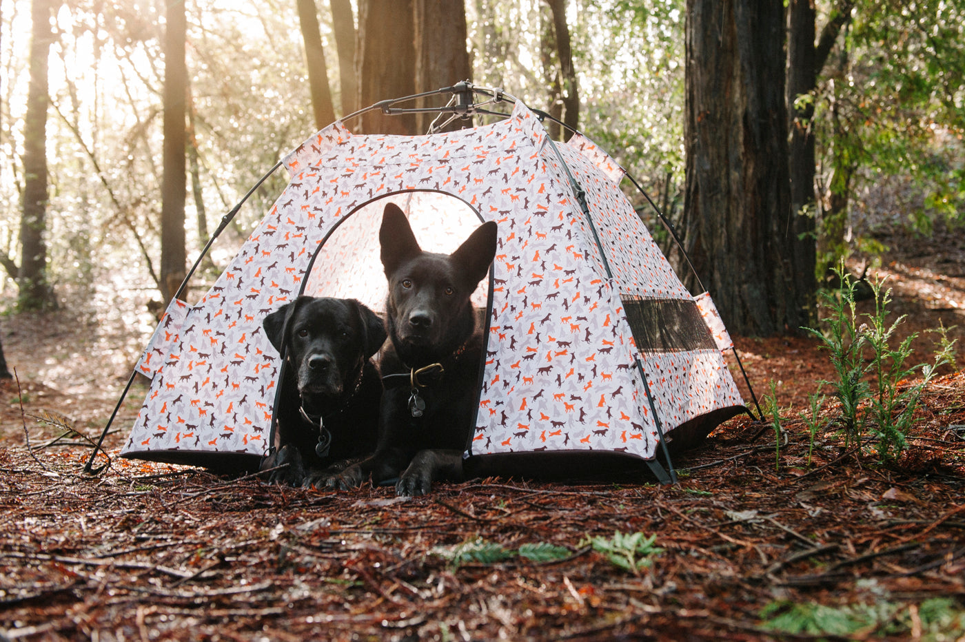 sushi tent Outdoor Dog Tent in Vanilla